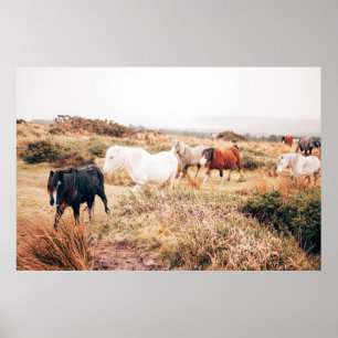 AFFICHE PONY HERD DANS L'AUTOMNE