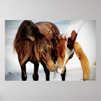 Affiche Pony Love