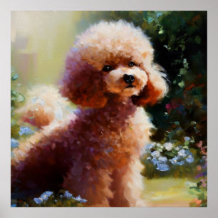 Affiche Poodle