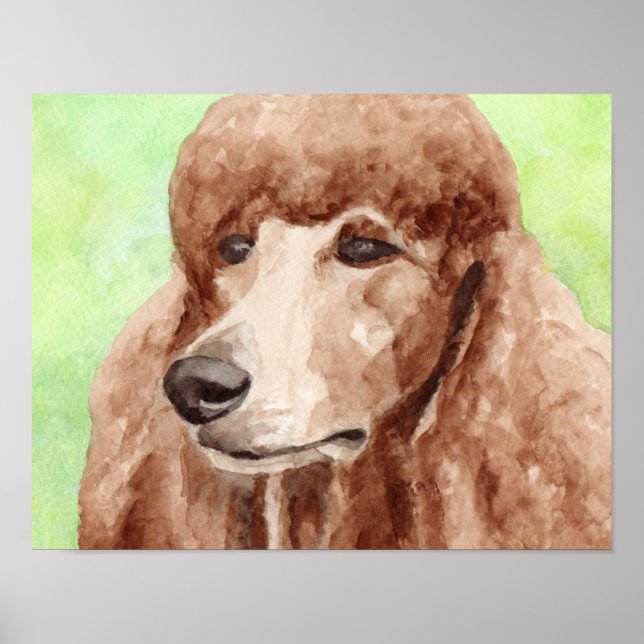 Affiche Poodle à l'aquarelle (Devant)
