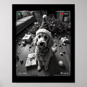 Affiche Poodle de Noël pris en caméra