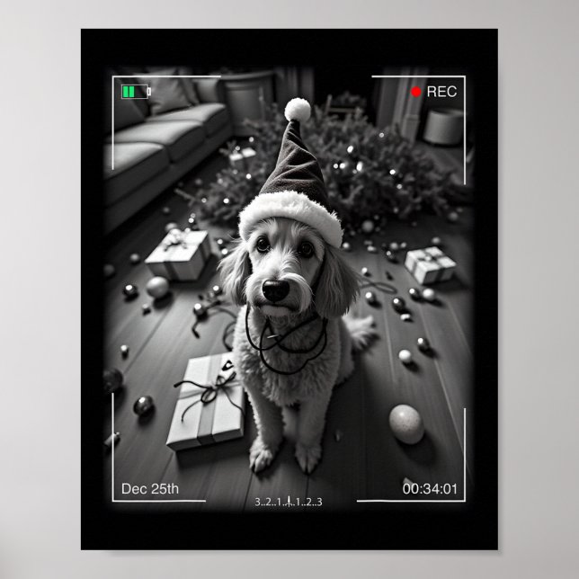 Affiche Poodle de Noël pris en caméra  (Devant)