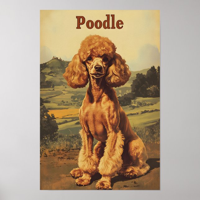 Affiche Poodle Dog Vintage Art (Devant)