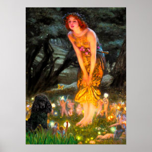 Affiche Poodle(noir 1)-MidEve