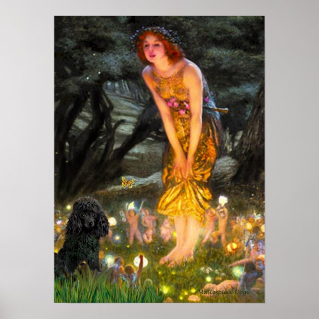 Affiche Poodle(noir 1)-MidEve (Devant)