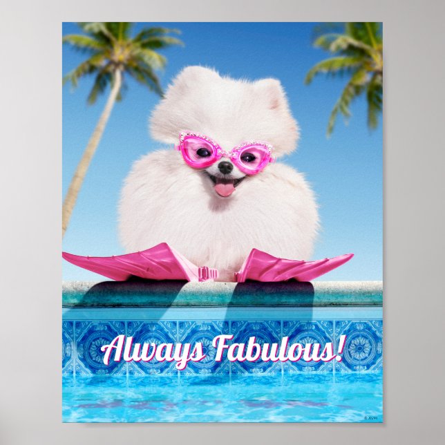 Affiche Poolside Dog In Flippers (Devant)