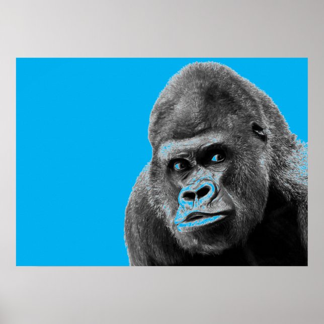 Affiche Pop Art Gorilla Blue Grey (Devant)