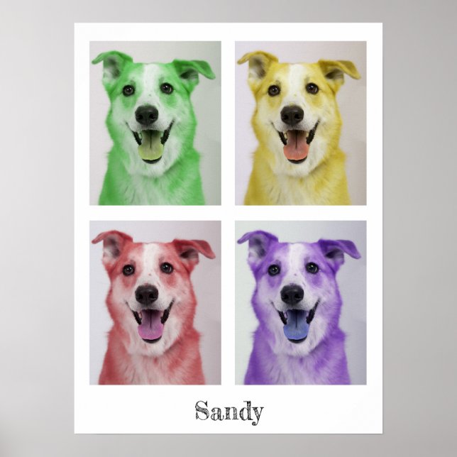 Affiche Pop Art Sandy (Devant)
