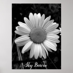Affiche pop marguerite