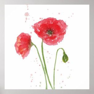 Affiche Poppies de printemps