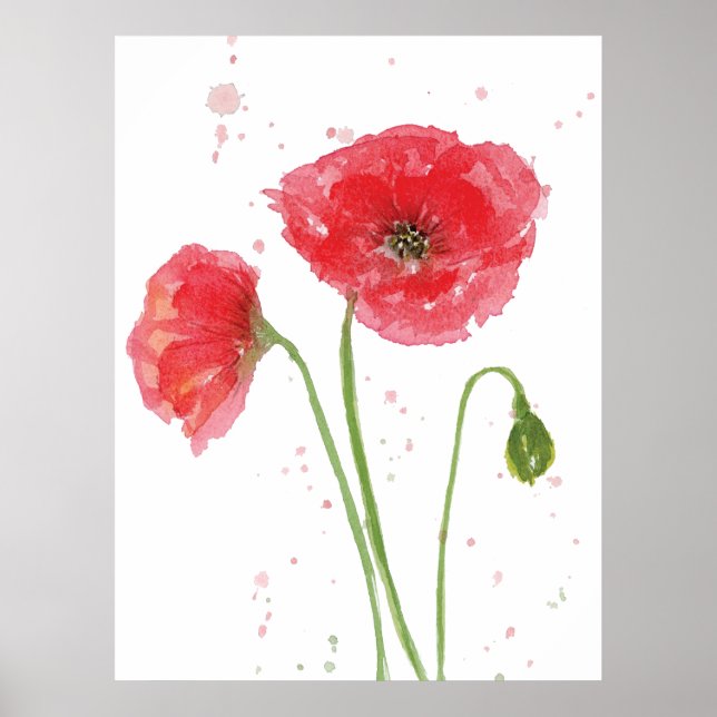Affiche Poppies de printemps (Devant)