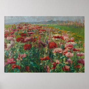Affiche Poppies en fleurs - Olga Wisinger-Florian