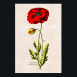 Affiche Poppies florales vintages des années 1800<br><div class="desc">Modèle Personnalisé Pour Les Affiches - Poster Customisé. Personnalisez avec votre propre nom, motif, design, devis, monogramme ou photo. Utilisez nos modèles cool, oeuvres d'art, photos, graphiques et illustrations, puis ajoutez des noms, du texte, des citations et des monogrammes pour créer votre propre affiche. Cliquez sur le bouton "Customisez-le !"...</div>