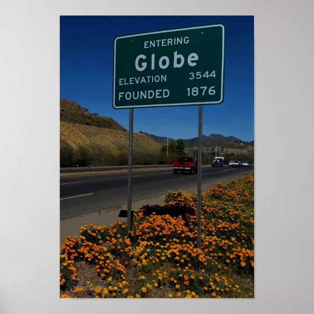 Affiche Poppies Oranges Qui Fleurissent Dans Le Globe Ariz (Devant)