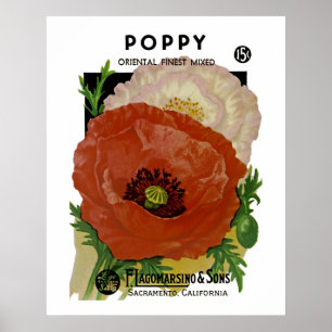 Affiche Poppy