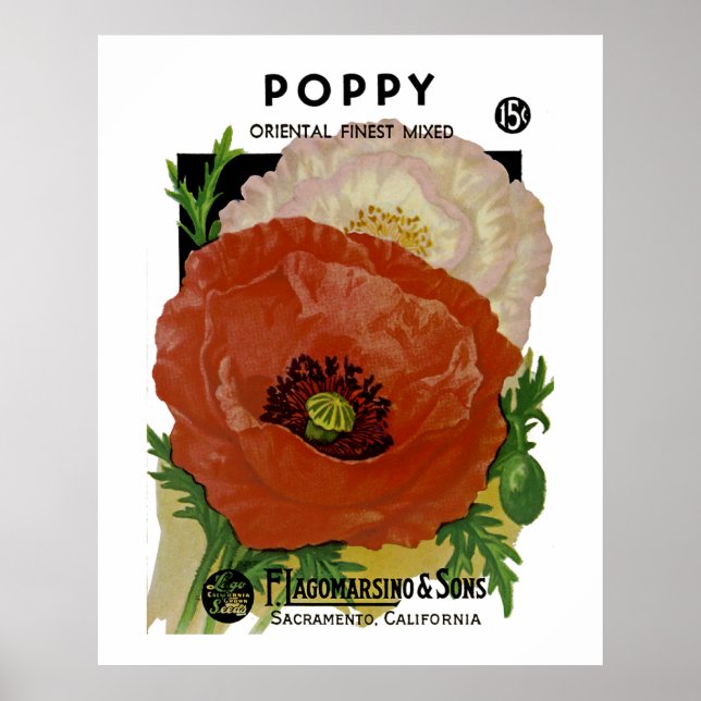 Affiche Poppy (Devant)