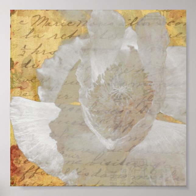 Affiche Poppy (Devant)