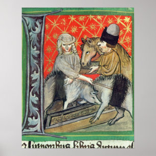 Affiche Porcs et chevaux d'élevage