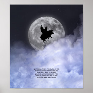 Affiche Porcs volants néocturnes