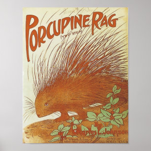 Affiche Porcupine Sag Vintage Songbook Couverture