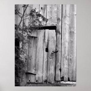 Affiche Porte de grange avec arbre