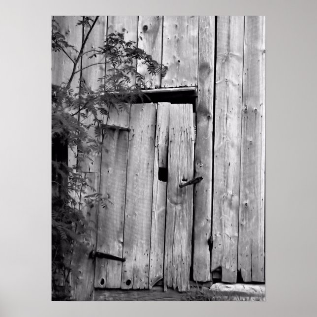 Affiche Porte de grange avec arbre (Devant)