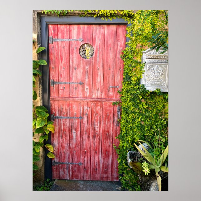 Affiche Porte en bois rose Plante St Augustine Floride Pho (Devant)