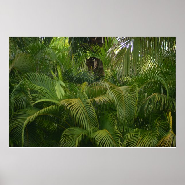 Affiche Portée douce (Devant)