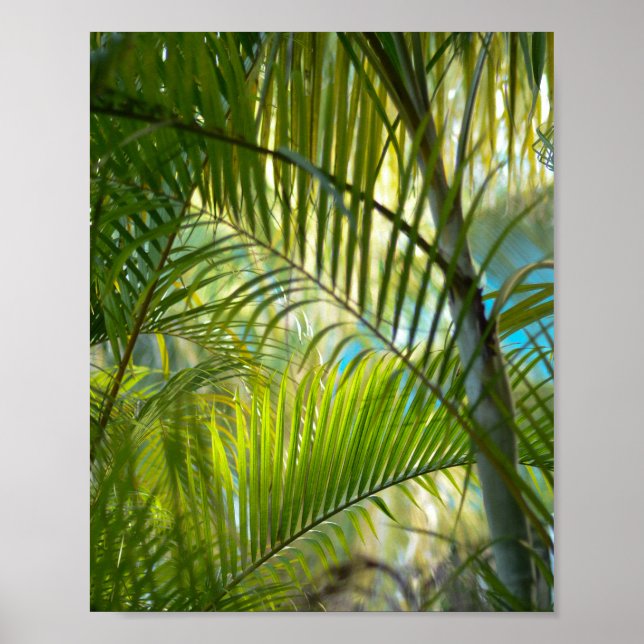 Affiche Portée douce (Devant)