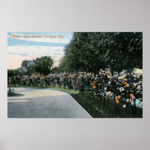 Affiche Portland, OregonView d'une roseraie