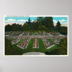 Affiche Portland, OregonVue des jardins d'essais Roses