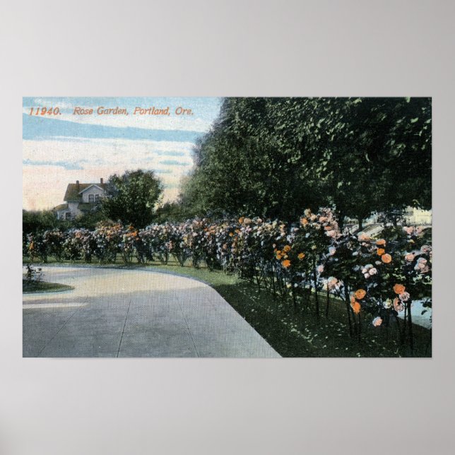 Affiche Portland, OregonVue d'un jardin Rose (Devant)
