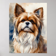 Portrait à l'aquarelle Pose Douce Chienne Shih Tzu