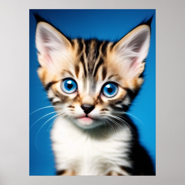 Affiche Portrait adorable Kitten avec de beaux yeux bleus (Devant)