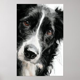 Affiche Portrait aquarelle de border collie