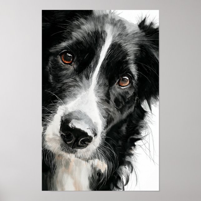 Affiche Portrait aquarelle de border collie (Devant)