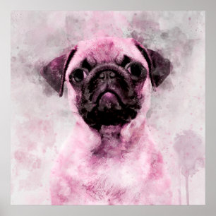 Affiche Portrait aquarelle de chien carlin rose 02