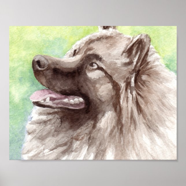 Affiche Portrait aquarelle de Keeshond (Devant)