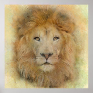 Affiche Portrait aquarelle de lion d'Afrique