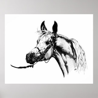 Affiche Portrait arabe en stylo et encre