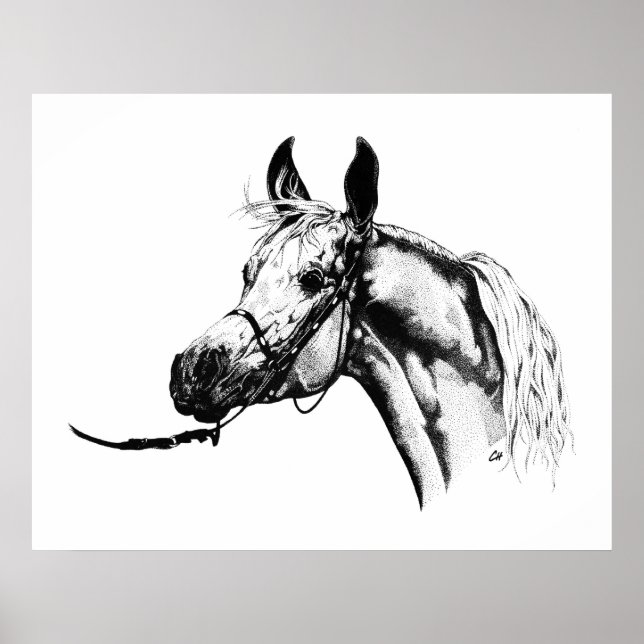 Affiche Portrait arabe en stylo et encre (Devant)