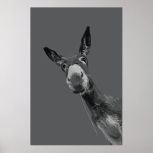 Affiche Portrait artistique en nuances de gris d'un âne dr