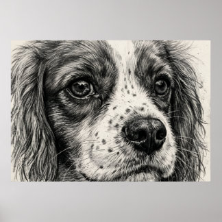 Affiche Portrait au crayon graphite de Cavalier King Charl