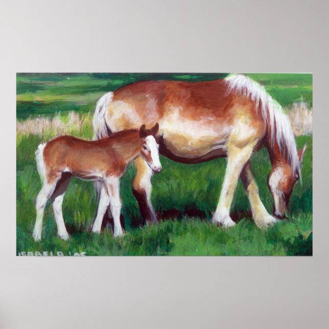 Affiche Portrait belge du Mare et du Foal Horse (Devant)
