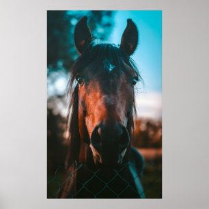 AFFICHE PORTRAIT CHEVAL