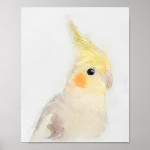 Affiche Portrait Cockatiel