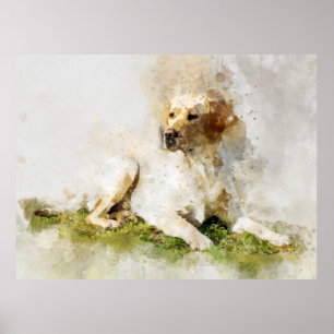 Affiche Portrait d'aquarelle de chien de Labrador Retrieve
