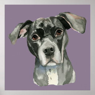 Affiche Portrait d'aquarelle de chien mignon noir brun