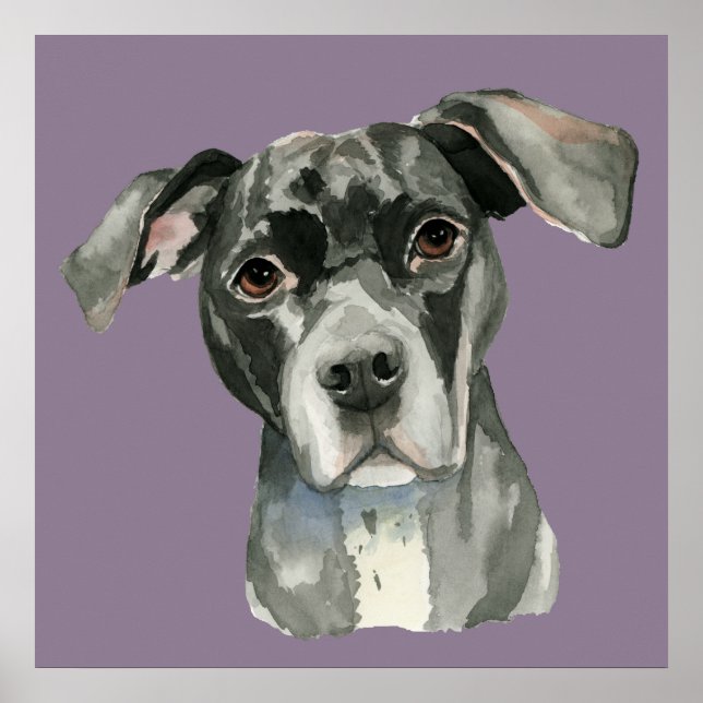 Affiche Portrait d'aquarelle de chien mignon noir brun (Devant)