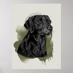 Affiche Portrait d'art aquarelle d'un Labrador Retriever n